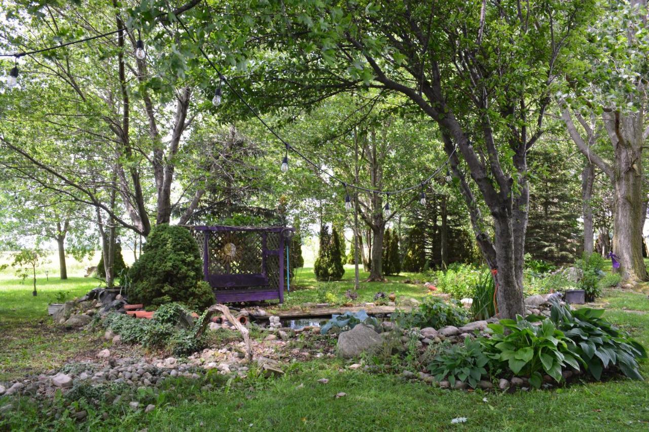 Birds Point Cottage On A Cliff Facing Lake Erie. Wheatley ภายนอก รูปภาพ