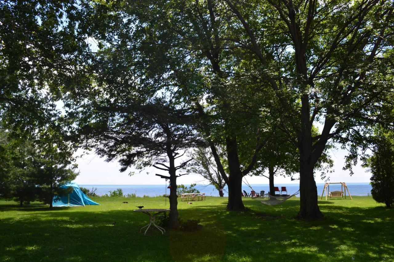 Birds Point Cottage On A Cliff Facing Lake Erie. Wheatley ภายนอก รูปภาพ